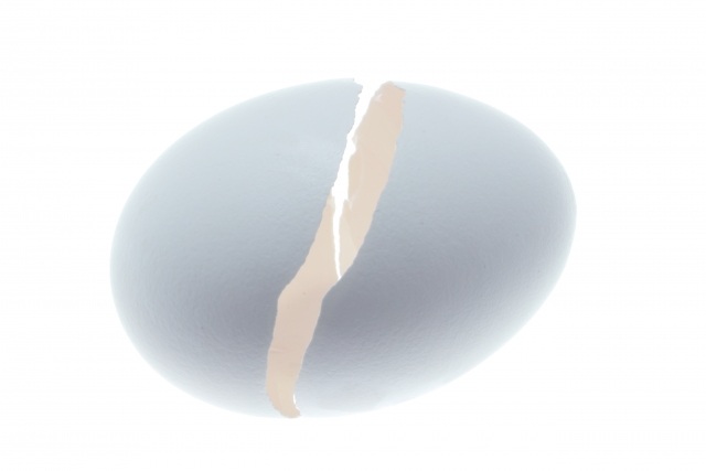 卵殻膜美容液 口コミ